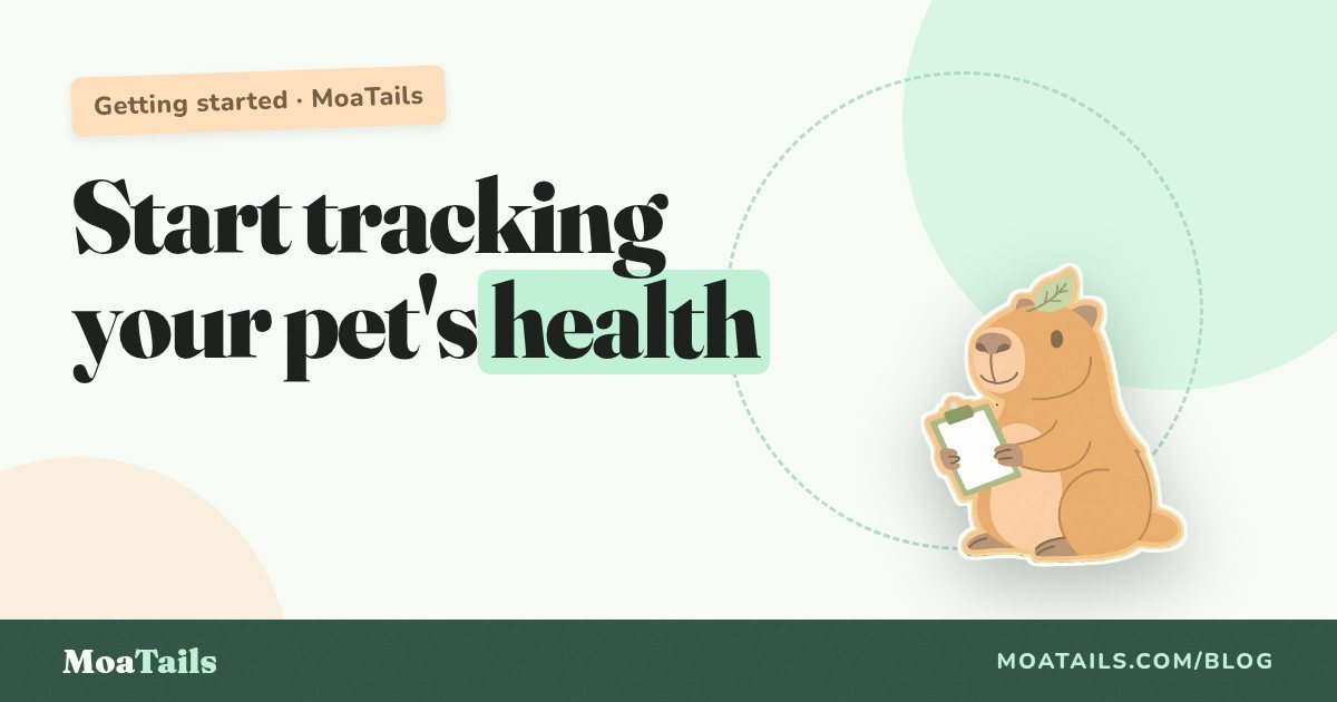 Getting Started with Pet Health Tracking