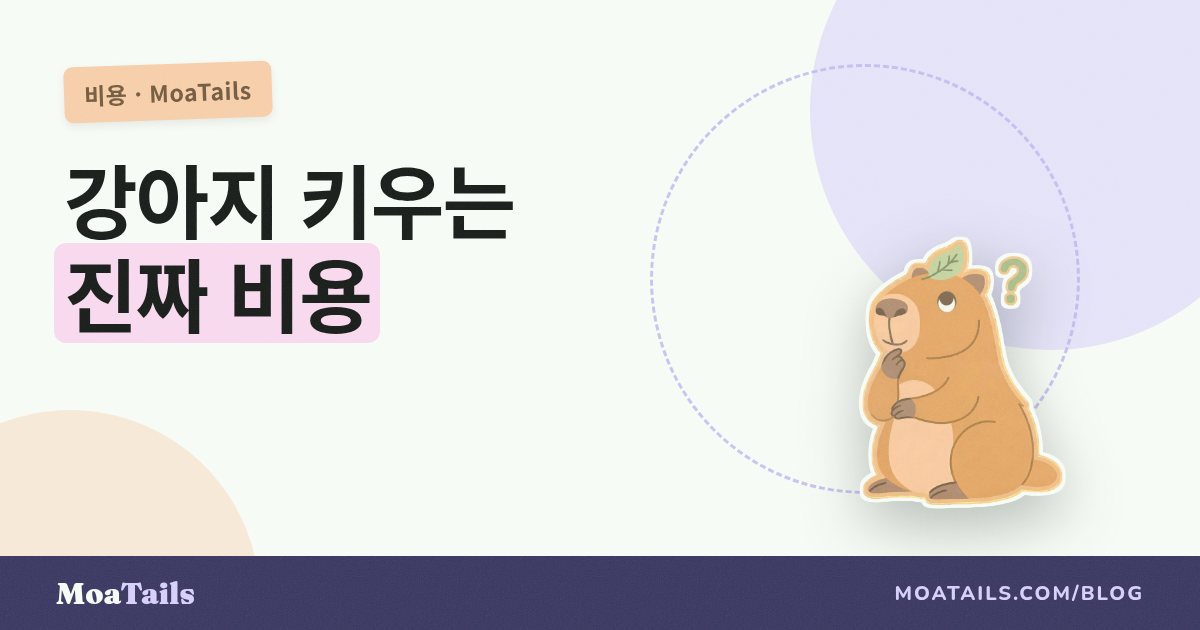 강아지 한 마리, 1년에 정말 얼마나 들까 (그리고 기록이 진짜로 돈을 아끼는 지점)