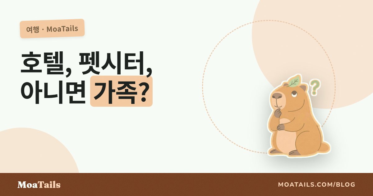 호텔링 vs 펫 시터 vs 가족: 솔직한 선택 가이드