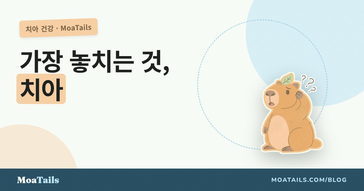 강아지 치아 관리: 반려동물 건강에서 가장 많이 미루는 일
