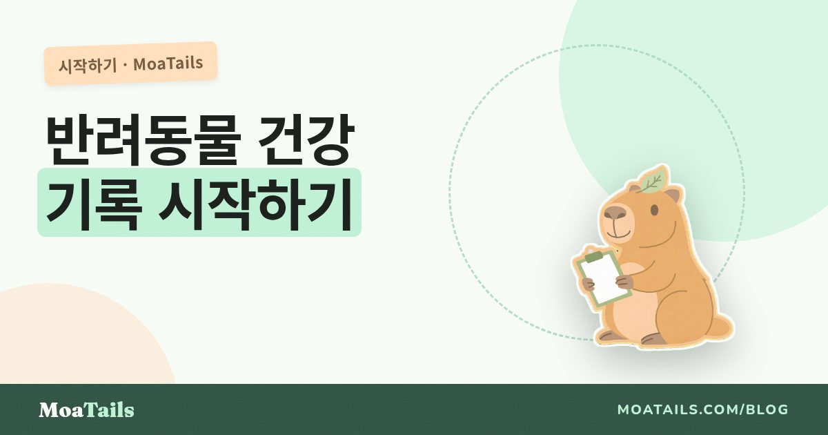 반려동물 건강 기록, 이렇게 시작하세요