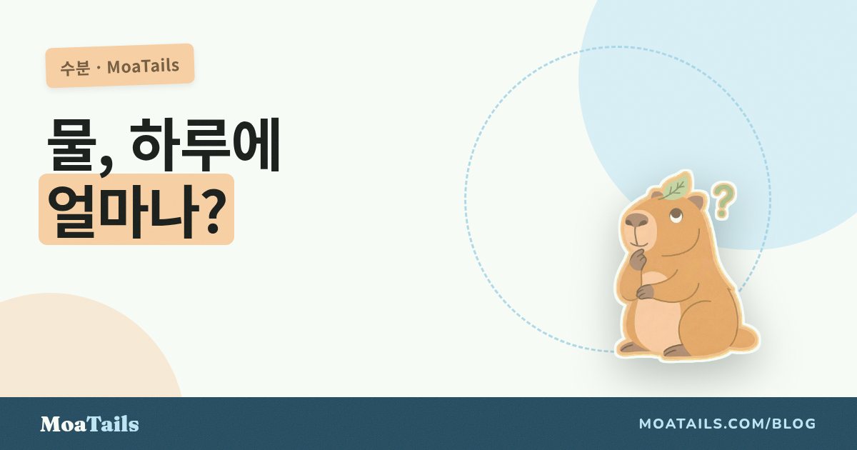 강아지는 물을 얼마나 마셔야 할까? (그리고 어느 날 갑자기 정상이 아니게 될 때)