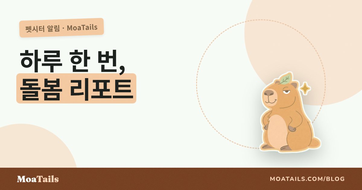 데일리 리포트 카드: 좋은 시터 업데이트는 이런 모습이에요