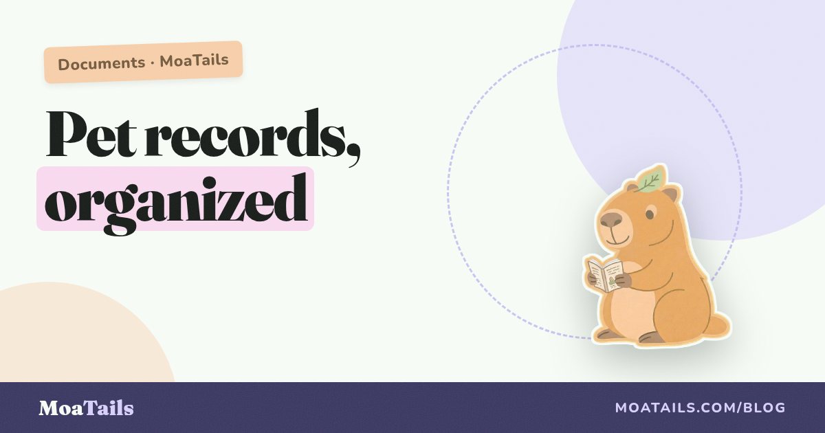 Keeping Your Pet's Records Organized (The Easy Way)