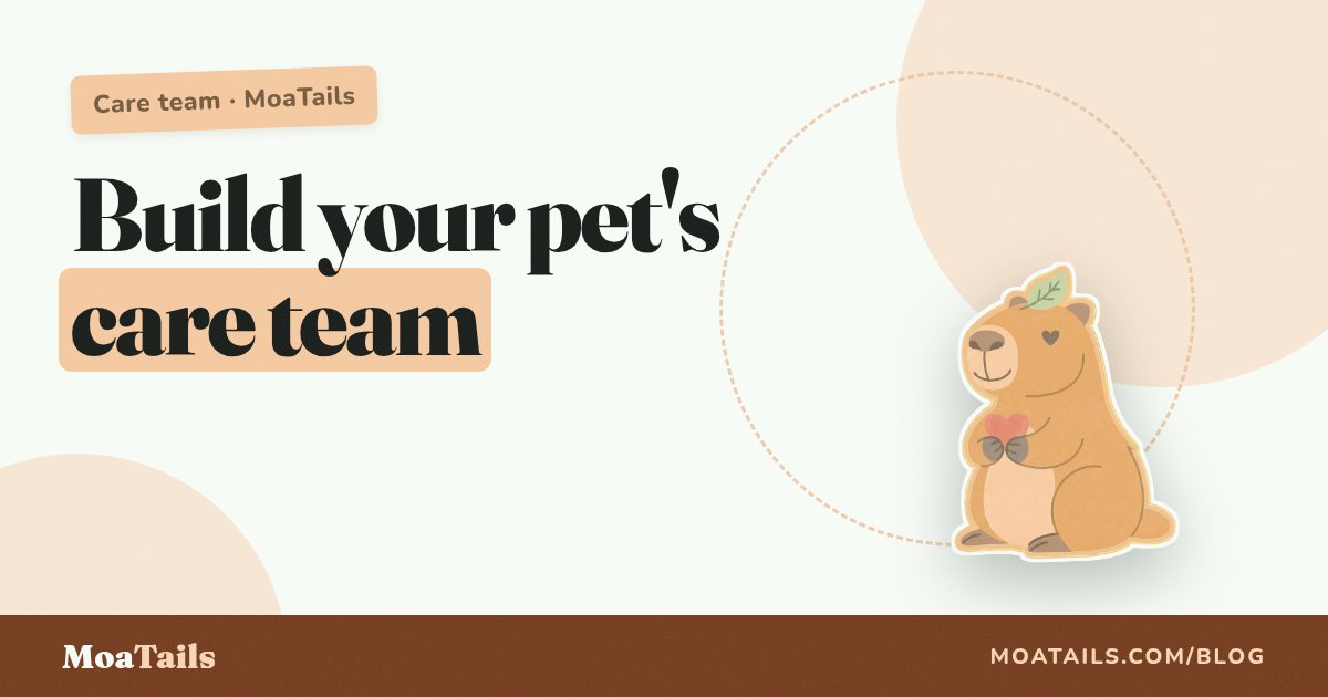 Building Your Pet Care Team