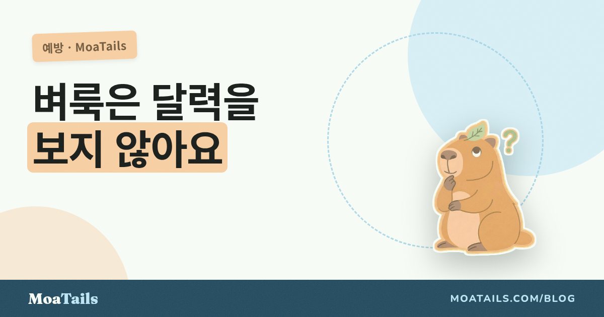 벼룩과 진드기는 달력을 보지 않아요: 연중 예방이 필요한 이유