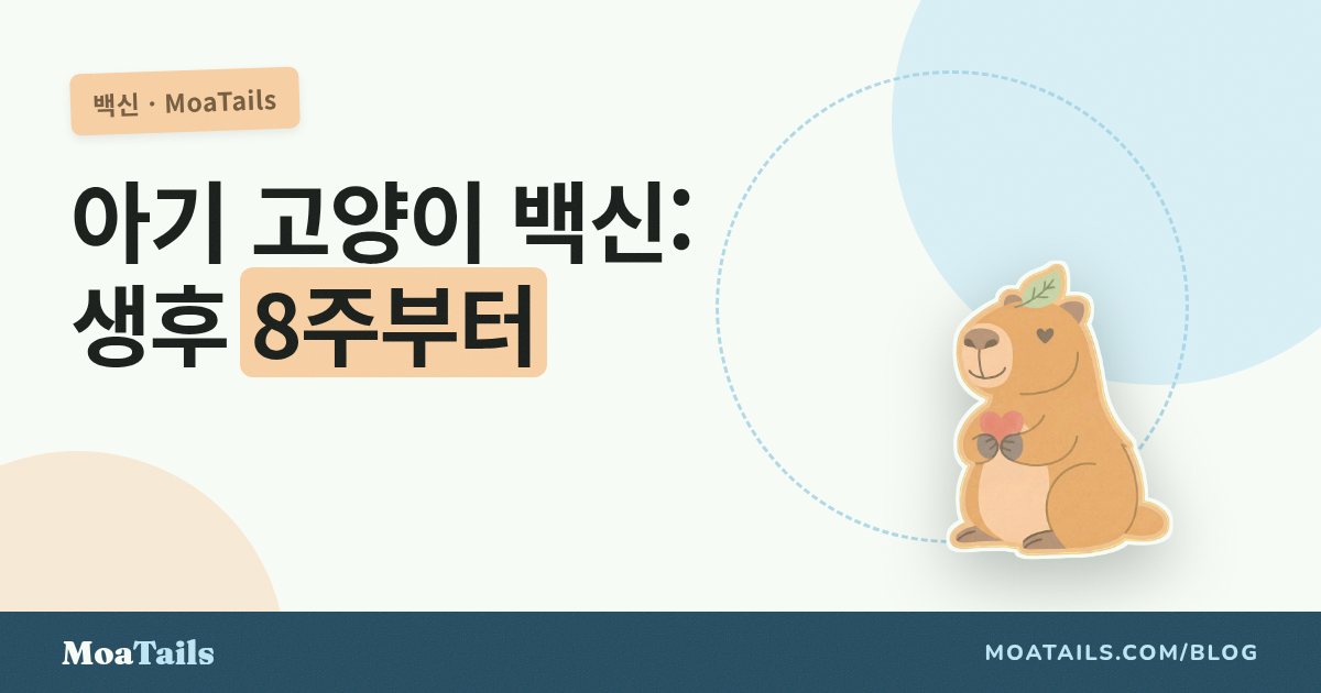 고양이 예방접종 일정: 8주가 마법의 시작인 이유