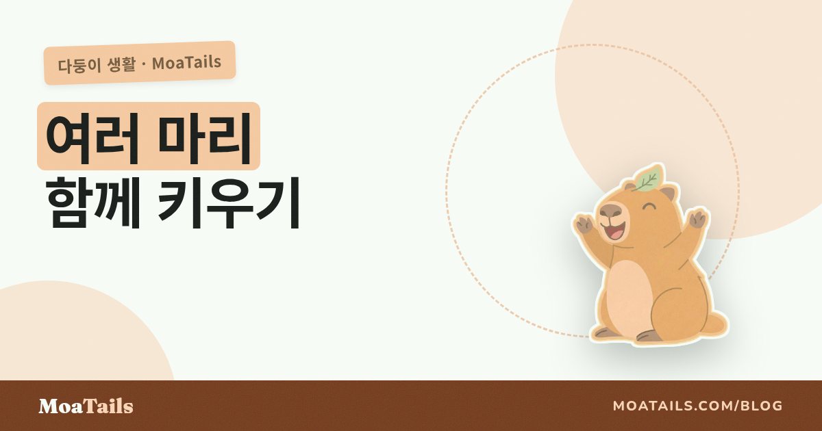 여러 마리 키우기 완벽 가이드