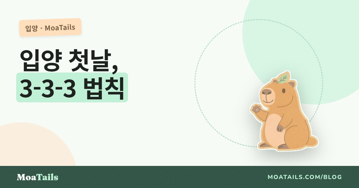 유기견 입양 후 첫 며칠: 3-3-3 규칙, 차분하게