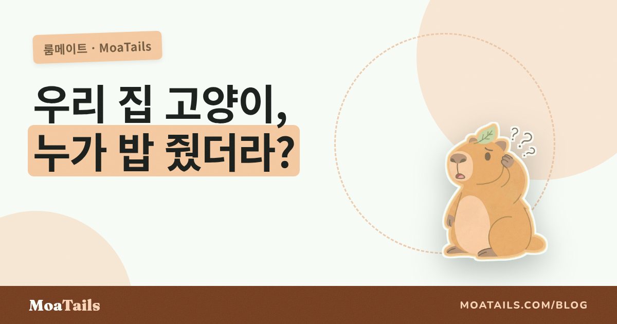 룸메이트와 함께 키우는 고양이: 누가 치웠고, 누가 밥 줬고, 누가 알고 있을까