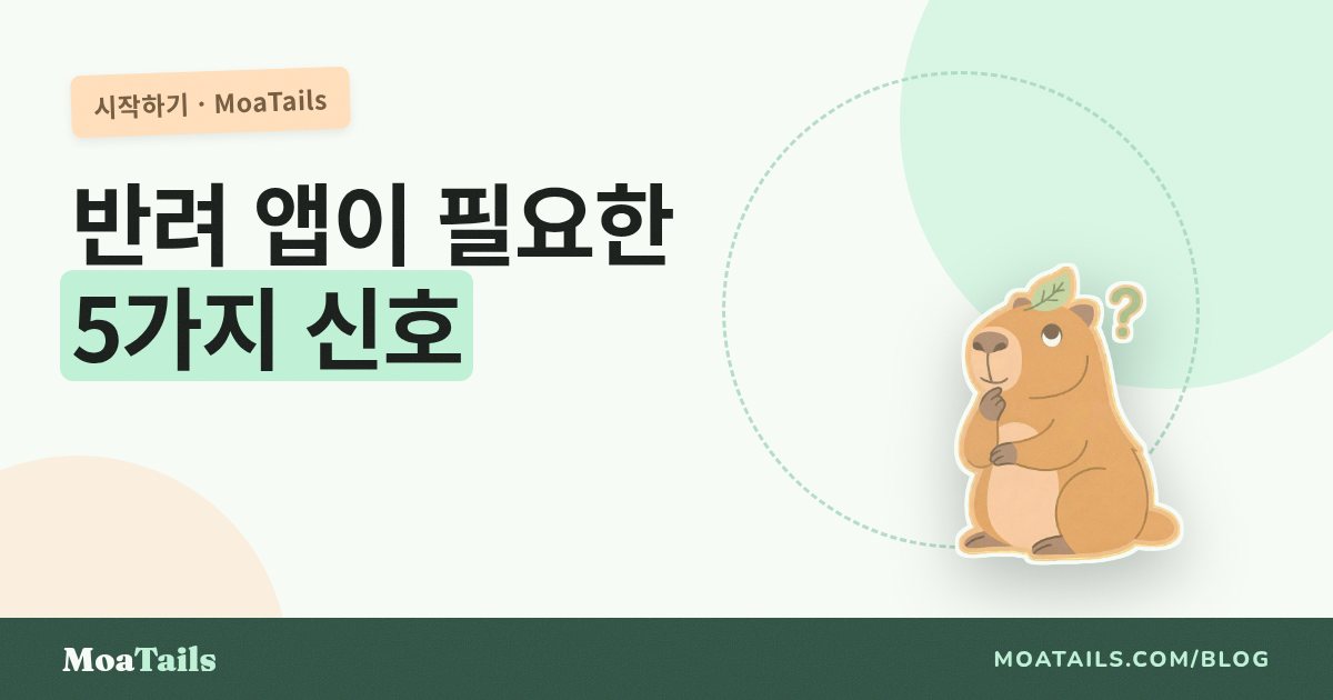 펫 케어 앱이 필요하다는 5가지 신호 (그리고 잘 고르는 법)