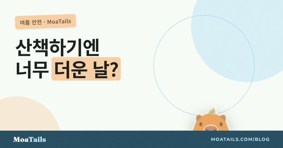얼마나 더우면 산책을 쉬어야 할까? 여름 산책 계산법