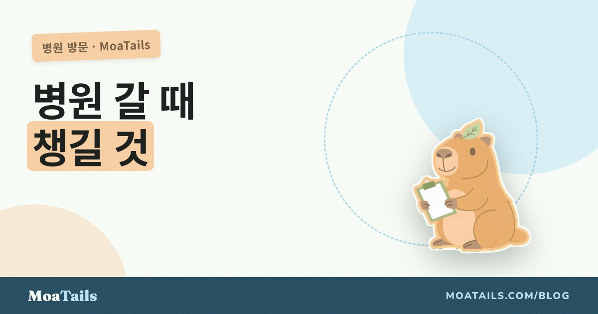 동물병원에 갈 때 챙겨야 할 것들
