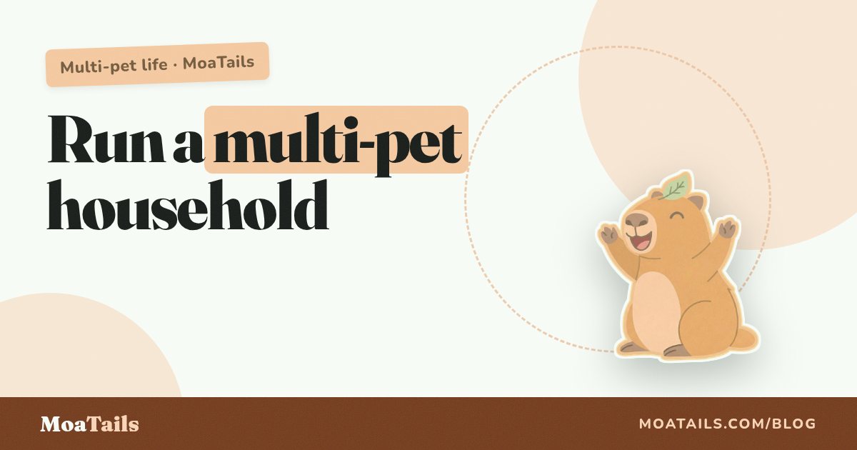 The Complete Guide to Managing Multiple Pets