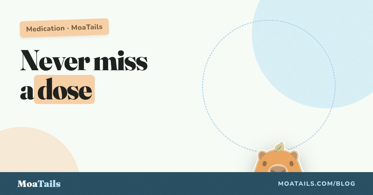 Never Miss a Dose: How to Set Up Pet Medication Reminders