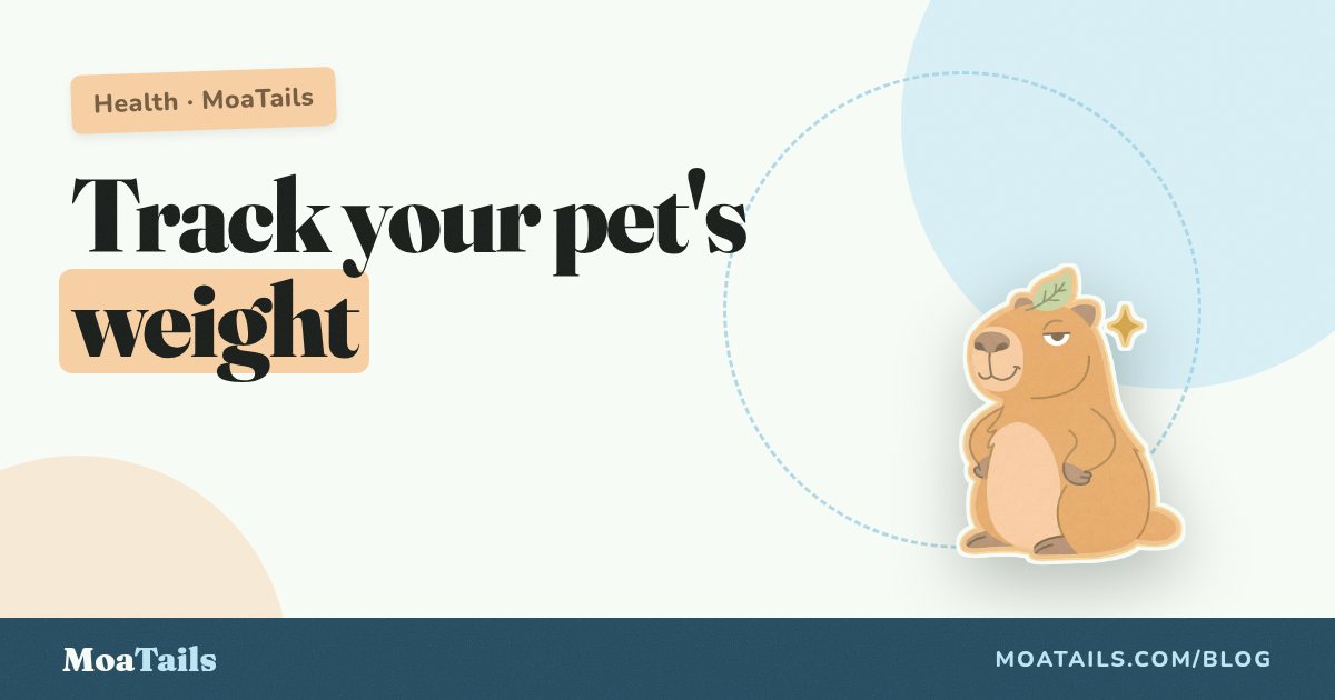 How to Track Your Pet's Weight (And Why It Matters)
