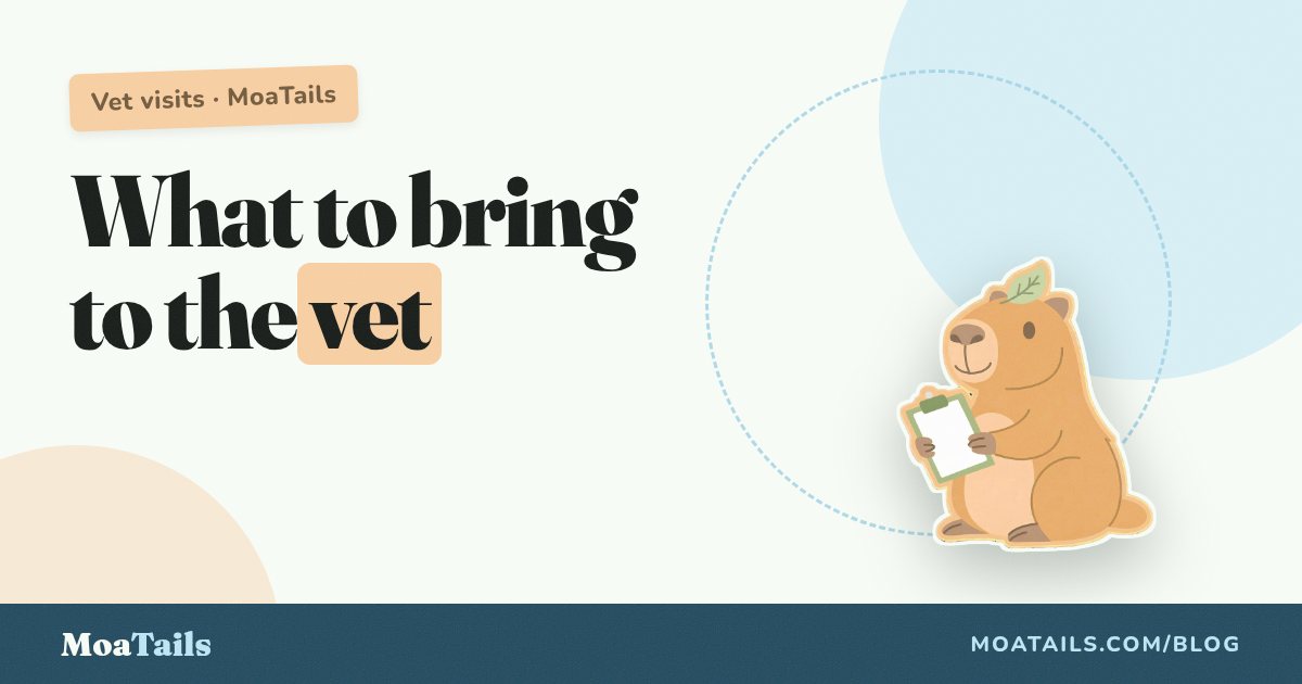 What to Bring to Your Pet's Vet Appointment